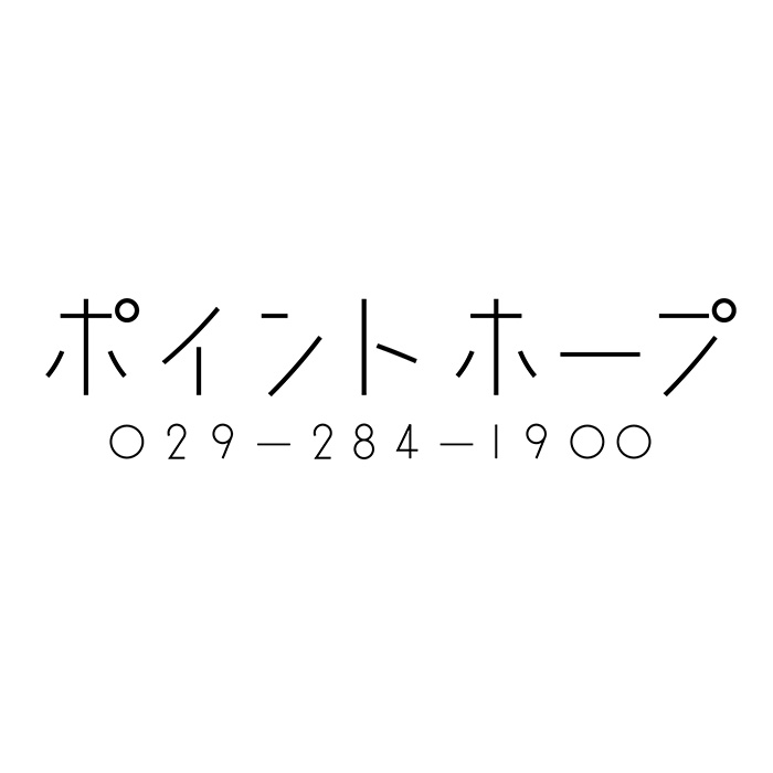pointhope_logo